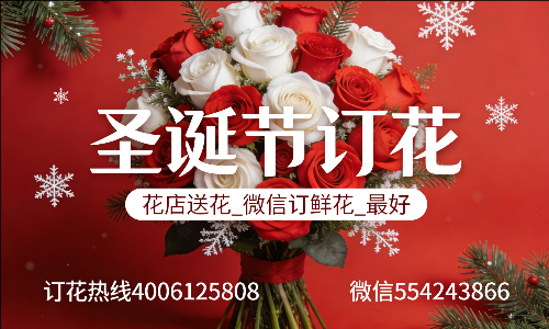 东莞大朗镇花店送花_微信订鲜花_圣诞节订花_最好? 东莞大朗镇花店